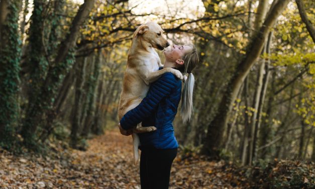 Best Paw Forward to raise funds for RSPCA in Huddersfield