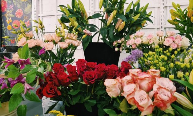 Cost of flowers soaring but don’t blame us say florists