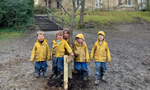 Nursery kids plant trees for next generation