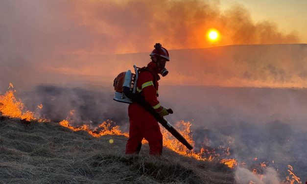 Police warn public that taking BBQs onto the moors is playing with fire – and could lead to prosecution