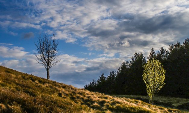 April had a record 12 freezing nights and the weather will remain wintry well into May