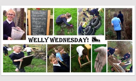 Parents at Nields School give it some welly and win an award for their garden