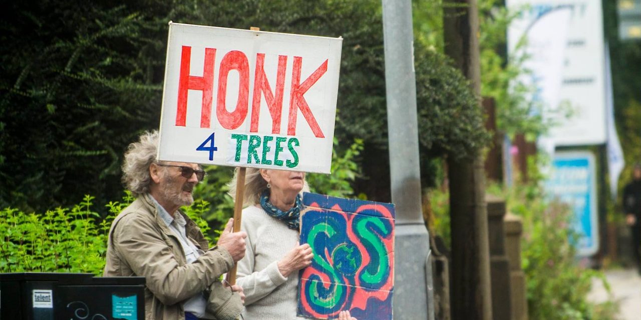 ‘Save our trees to help save planet’ is campaigners’ plea to Kirklees Council
