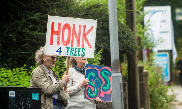 Leader-elect Cathy Scott scraps A629 Blacker Road scheme pledging to save historic trees and plant 650 more