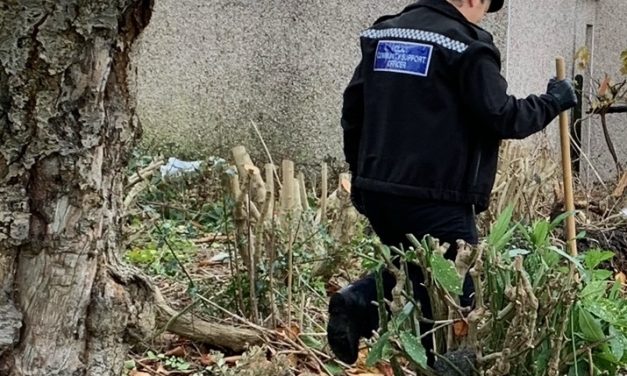 How police are tackling knife crime and anti-social behaviour on Walpole Estate – with brushes and shovels