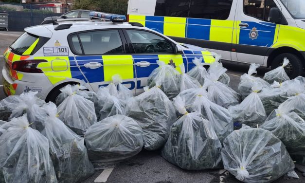 Four men charged after £350k worth of cannabis seized in Huddersfield raids