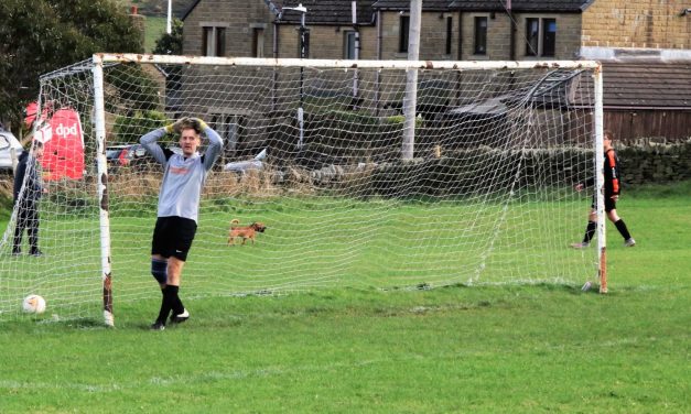 Cameron Wilkey scored six goals and Nathan Mayall five as Grange Moor Saints beat Mount 14-0 on a day of big scores in the Huddersfield District League