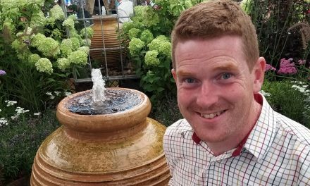 Gordon the Gardener on Harrogate Autumn Flower Show, preparing for the wonders of Spring and why you should have Pansy Cool Wave in your winter hanging basket