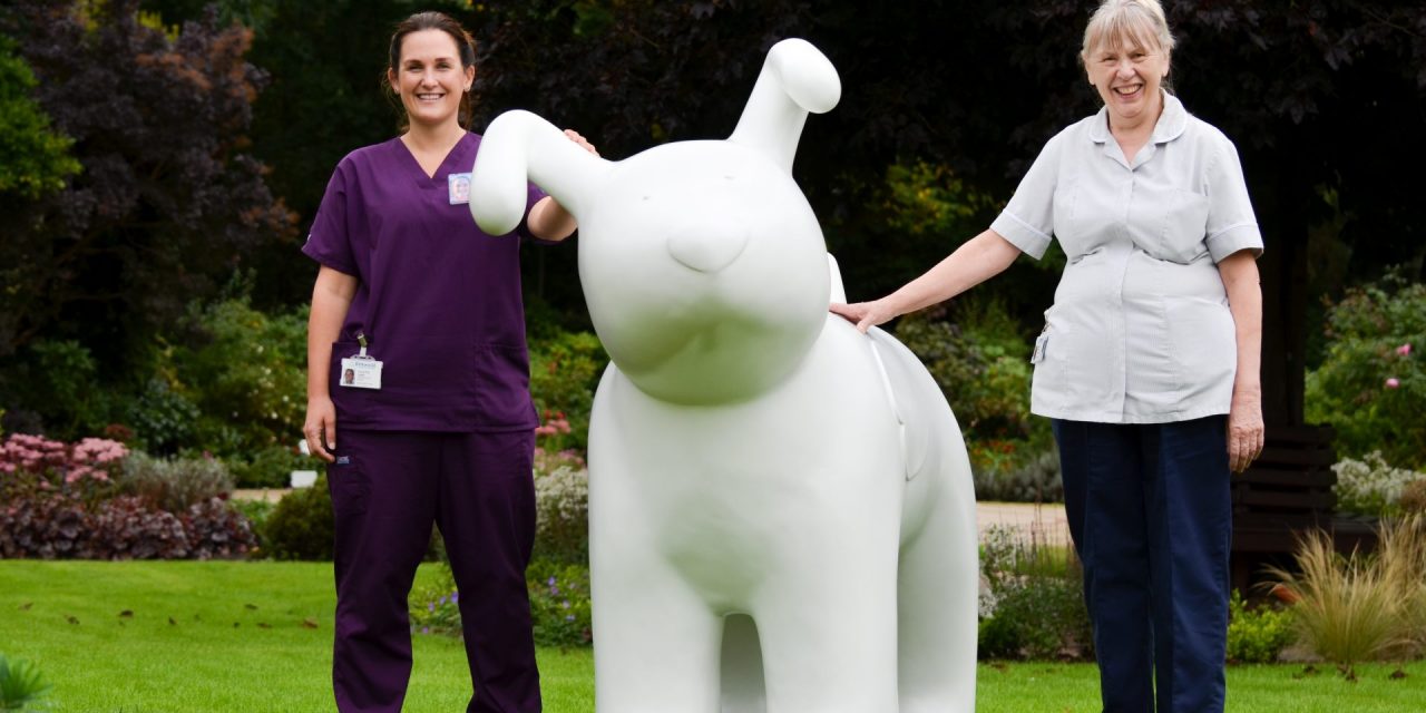 The Snowdogs are coming to Kirklees and this is how your school or community group could be part of it