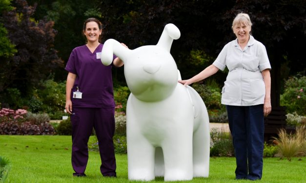 The Snowdogs are coming to Kirklees and this is how your school or community group could be part of it