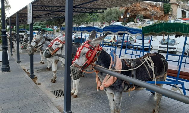 Brian Hayhurst finds out about the famous Mijas donkey taxis on a Spanish walking tour where he needed his winter woollies