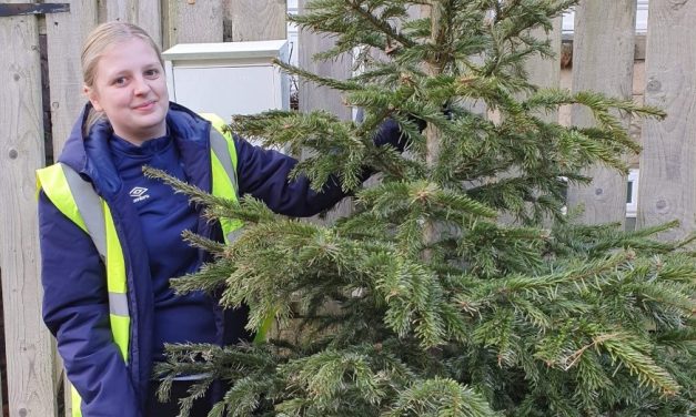 How to recycle your Christmas tree and donate to The Kirkwood or the Forget Me Not Children’s Hospice