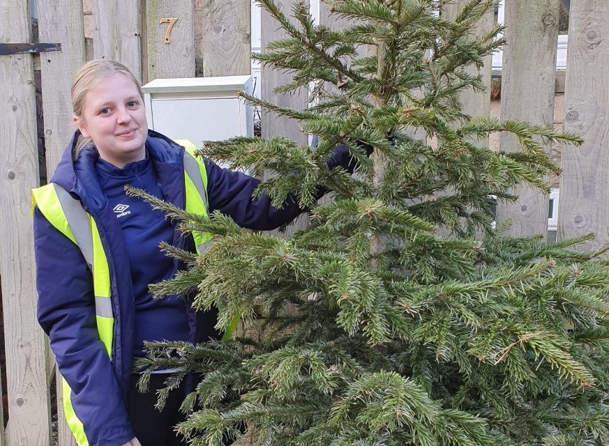 How to recycle your Christmas tree and donate to The Kirkwood or the Forget Me Not Children’s Hospice