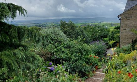The stunning garden that’s 1,000ft above sea level and the highest spot between Huddersfield and Russia’s Ural Mountains