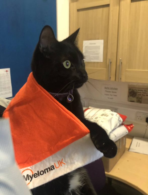 how-felix-the-huddersfield-station-cat-is-helping-the-man-who-made-her-a-social-media-sensation
