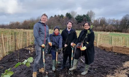 Councillors help plant Tiny Forest in Dalton which is part of a big idea to combat climate change