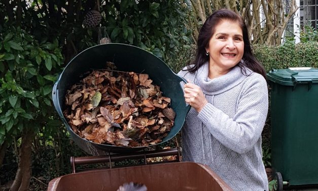 When Kirklees Council’s brown bin garden waste collections start again and how you need to sign up to continue with Clip & Collect this summer