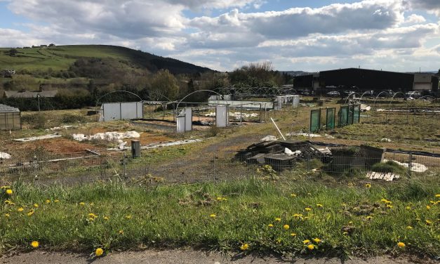 Former Bradley Nurseries site to be demolished ahead of re-development – five years after it closed