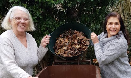 Why the cost of Kirklees Council’s brown bin garden waste collection service is going up
