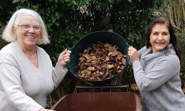 Why the cost of Kirklees Council’s brown bin garden waste collection service is going up