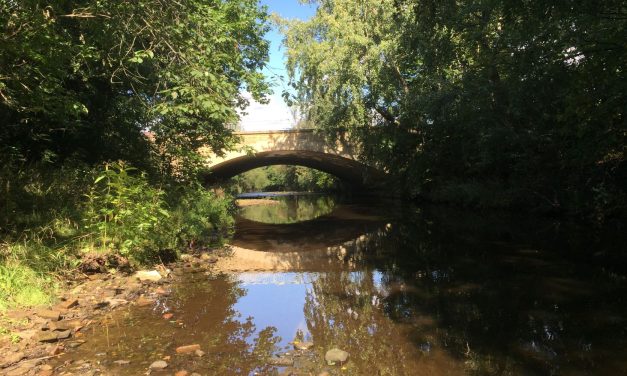 New environmental project for Kirklees will help wildlife and cut flood and wildfire risk