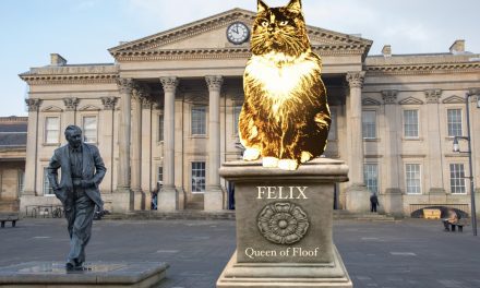 Statue of Felix the Huddersfield Station cat to be erected in St George’s Square next to Harold Wilson monument