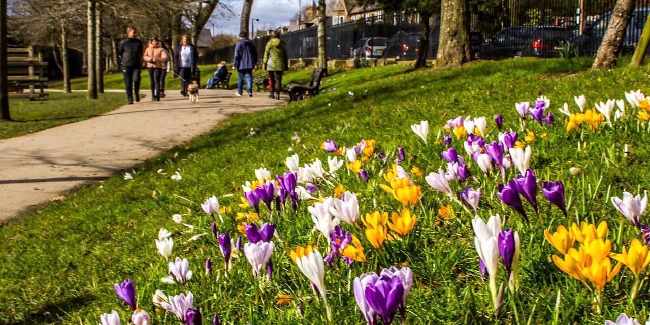 How you can help the tourism economy in Kirklees to blossom and bloom