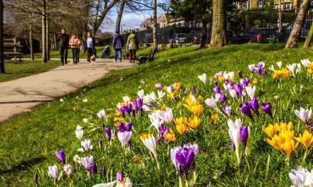 How you can help the tourism economy in Kirklees to blossom and bloom