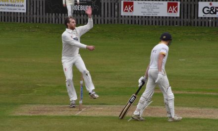 Spinner Dan’s seven-wicket haul was Taylor-made to lift Broad Oak clear of the relegation zone