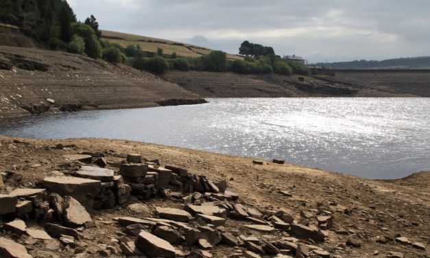 Health-threatening heatwaves to become more intense, warns Huddersfield Friends of the Earth