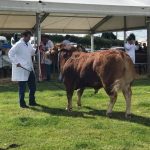 Emley Show is back on Saturday and here’s what you need to know if you want to go