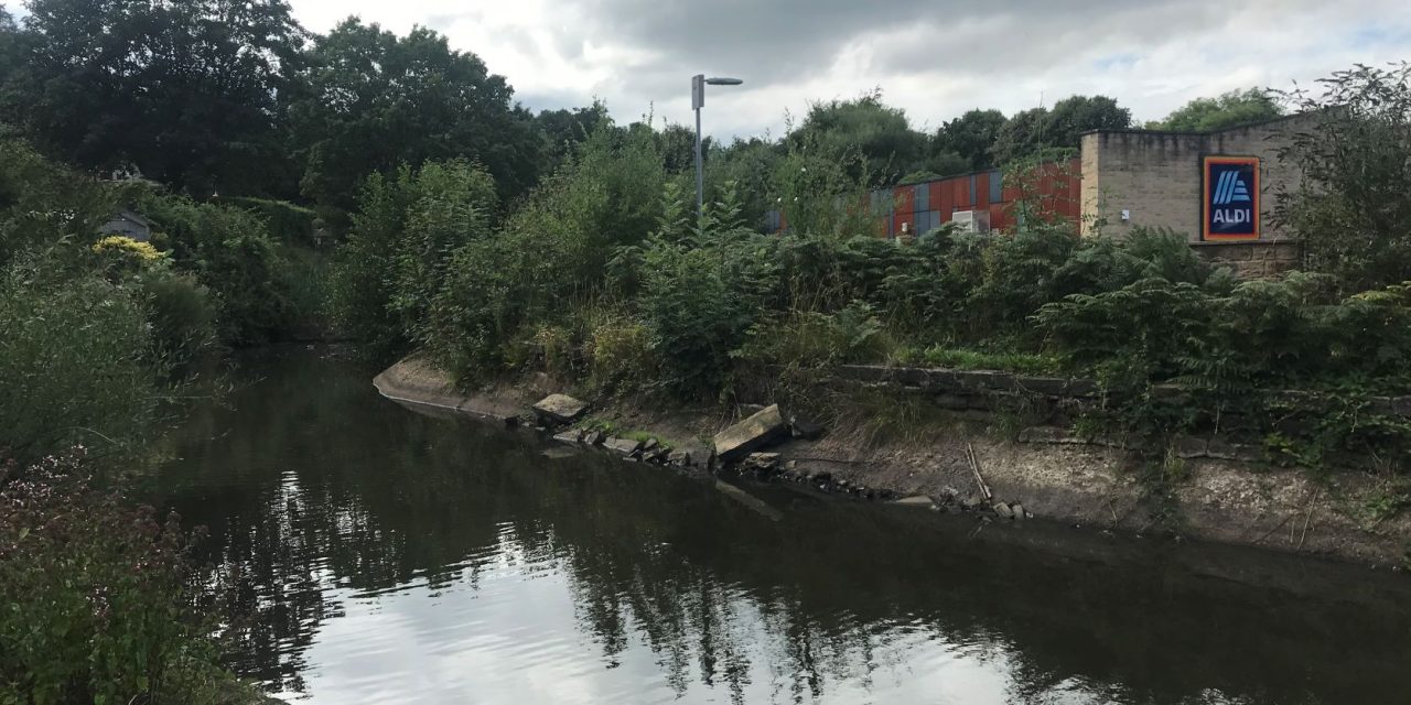 Ambitious scheme to renovate hidden Slaithwaite millpond that’s become neglected, overgrown and forgotten