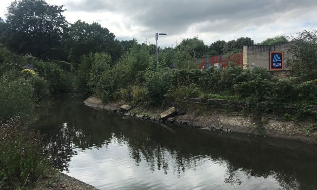 Ambitious scheme to renovate hidden Slaithwaite millpond that’s become neglected, overgrown and forgotten