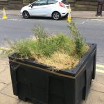 Huddersfield Civic Society wants Kirklees Council to spruce up maintenance of town centre trees and planters