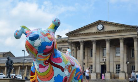The Kirkwood’s Snowdogs Support Life Kirklees art trail has started and this is how you can take part