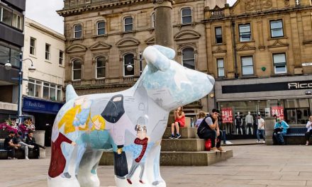 Appeal is launched after two Snowdog sculptures in Huddersfield and Cleckheaton are damaged