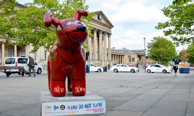 Snowdogs have come to Kirklees and, thanks to Camira and TransPennine Express, there’s a new place to spot them