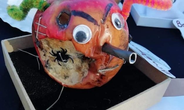 Core blimey! Lindley Apple Day is back and there’s a fun competition to find the ugliest apple