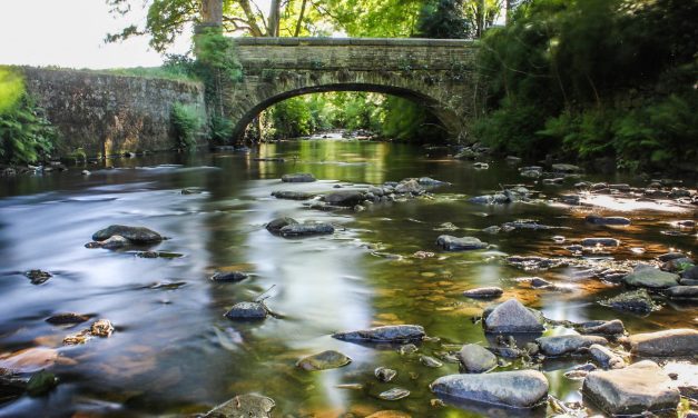 How nature-rich corridors are to return to the banks of the River Holme between Holmfirth and Huddersfield