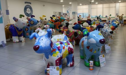 12 brilliant images as The Kirkwood’s Snowdogs patiently wait in line to find their fur-ever home