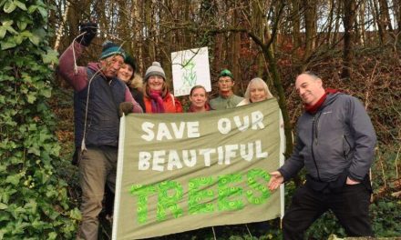 Campaigners praised for saving A629’s historic trees but councillor demands certainty for residents whose lives have been blighted