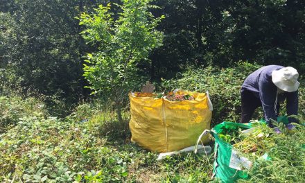 How volunteers are transforming a Slaithwaite wood into an amazing ecological environment