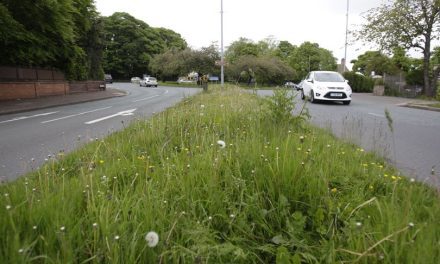 Kirklees Council has a growing problem which means it will cut the grass less often