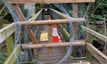 Councillors want to build bridges with young people and tackle vandalism and anti-social behaviour