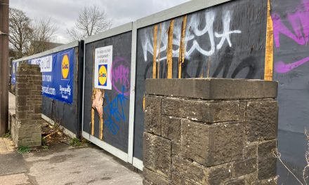 Lidl wins store wars battle to build new supermarket in New Hey Road