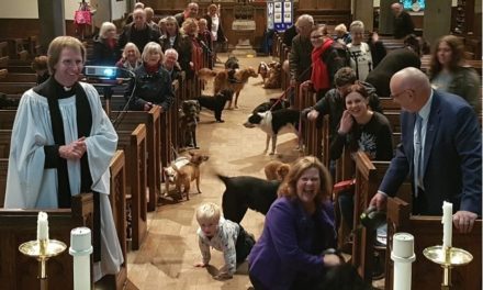 How you can have your pets blessed in a church service with a difference