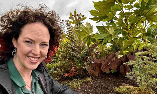 Slaithwaite designer creates family-friendly garden for Tatton Flower Show – complete with dinosaurs