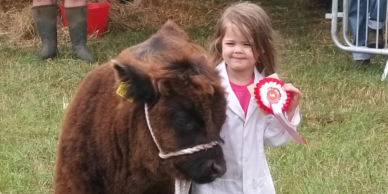 Here’s our gallery of 13 of the best images from a fabulous day at Honley Show