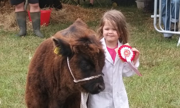 Here’s our gallery of 13 of the best images from a fabulous day at Honley Show