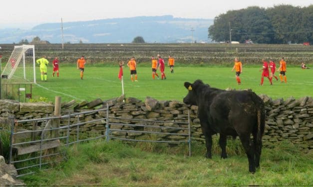 Deighton moo-ved top of the Huddersfield District League as Berry Brow were beaten by Linthwaite Athletic